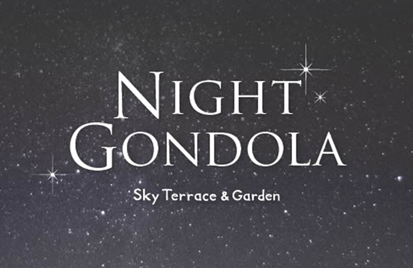NIGHT GONDOLA 夜間特別運行のご案内