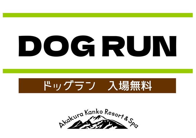 投稿の画像