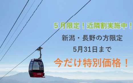 投稿の画像