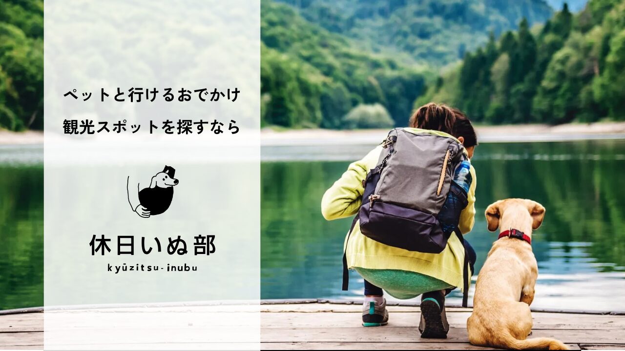 投稿の画像