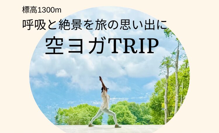 投稿の画像
